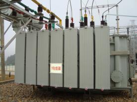 STCR600手持式红外测温仪